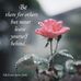 Barbara Pate - Facebook