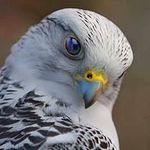 Barbara Pate - @pate4835 - Instagram