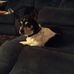 Barbara Pate - Facebook