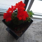 Barbara Ann Patmore - @barbaraannpatmore - Instagram