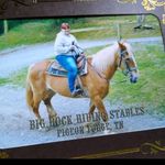 Barbara Patrick - @barbara_patrick - Instagram