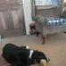 Barbara Patrick - Facebook
