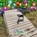 Barbara Patten - Facebook