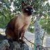 Barbara Patten - Facebook