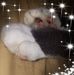 Barbara Pattison - Facebook