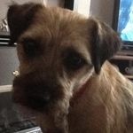 Barbara Pattison - @pattison.barbara - Instagram