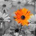 Barbara Patty - Facebook