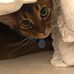 Barbara Patzer - Facebook