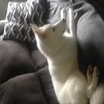 Barbara Pavlock - Facebook