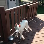 Barbara Pavlock - @barbarapavlock - Instagram