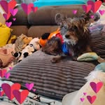 Barbara Kenny Paxson - @barbarapaxson - Instagram