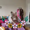 Barbara Paxson - @barbara.paxson - TikTok