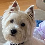Barbara Paxton - @user45764cx5 - Instagram