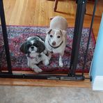 Barbara Payette - Facebook