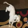 barbarapayton4 - @barbarapayton4 - TikTok