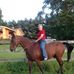 Barbara Pease - Facebook