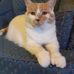 Barbara Peckham - Facebook