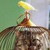 Barbara Peckham - Facebook