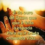 Barbara Pedroso - @barbara.pedroso.9081 - Instagram