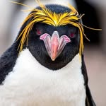 Barbara Peel - @foreveralwayscharters - Instagram