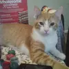barbarapeeler282 - @barbarapeeler282 - TikTok
