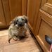 Barbara Peet - Facebook