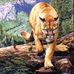 Barbara Peets - Facebook