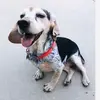Barbara Pfeffer - @barbarapfeffer1 - TikTok