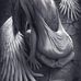 Barbara Parish - Facebook