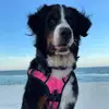 barbaragutierrezpelaez - @barbaragutierrezpelaez - TikTok