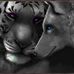 Barb Petrey - Facebook