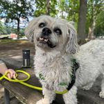 Barbara Pellerito - @barb4960 - Instagram