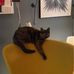 Barbara Pelletier - Facebook