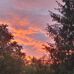 Barbara Pelletier - Facebook