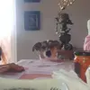 barbarapellicano - @barbarapellicano - TikTok