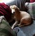 Barbara Pemberton - Facebook