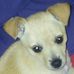 Barbara Pendergrass - Facebook