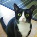 Barb Penley - Facebook