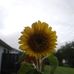 Barbara Elizabeth Penley - Facebook