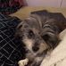 Barbara Pennington - Facebook
