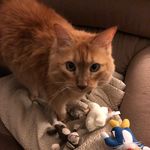 Barbara Pennington - @barbara_pennington512 - Instagram