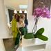 Barbara Petrella - Facebook