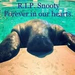 Barbara Pettit Leighton - @barbarapettitleighton - Instagram