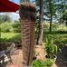 Barbara Petz - Facebook