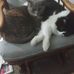 Barbara Pewitt - Facebook