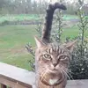 Barbara - @barbarapezzello - TikTok