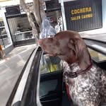 Barbara Pez Zamarchi - @bpezzamarchi - Instagram