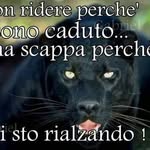 Barbara capezzali - @barbaracapezzali - Instagram