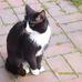 Barbara Pfeffer - Facebook