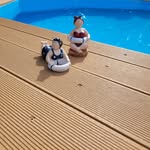 Barbara Pfeiler - @babsi_pfeiler_pfaffcity - Instagram